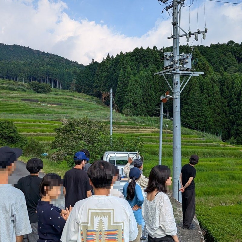 棚田を訪れて地域学習を行う場面
